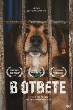 Скачать В ответе (2021) фильм через торрент на русском