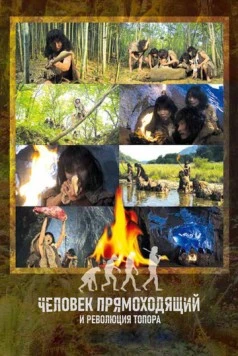 Скачать Человек прямоходящий и революция топора / Homo Erectus and the Hand Axe Revolution (2012) фильм через торрент на русском