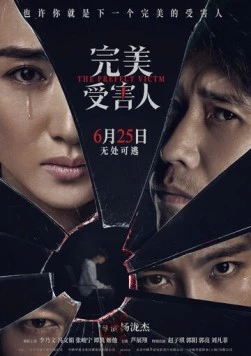 Идеальная жертва / Wan mei shou hai ren (2021) фильм скачать через торрент в хорошем качестве