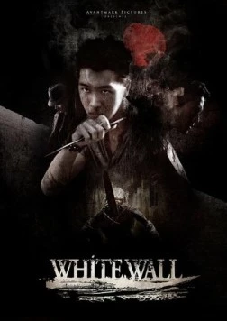 Белая стена / White Wall (2010) фильм скачать через торрент в хорошем качестве