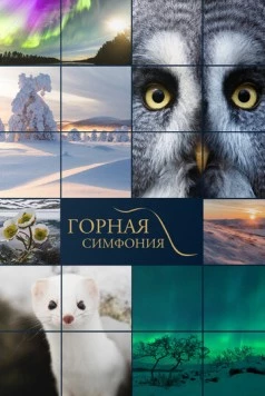 Горная симфония / Tunturin tarina (2021) фильм скачать через торрент в хорошем качестве