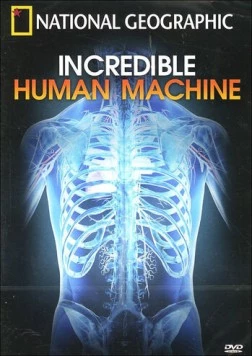 Невероятное тело человека / Incredible Human Machine (2007) фильм скачать через торрент в хорошем качестве