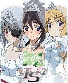 Бесконечные небеса 2: Бесконечные свадьбы / IS: Infinite Stratos 2 - Infinite Wedding (2016) мультфильм скачать через торрент в хорошем качестве