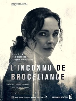 Скачать Незнакомец из Броселианда / L'Inconnu de Brocéliande (2016) фильм через торрент на русском