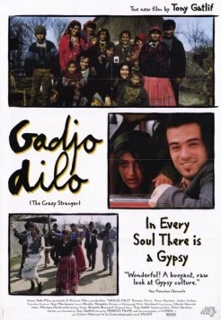 Странный чужак / Gadjo dilo (1997) фильм скачать через торрент в хорошем качестве