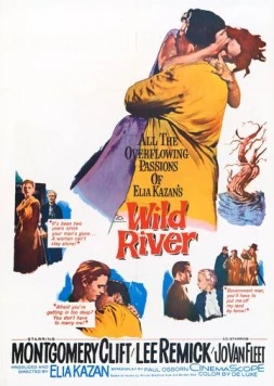 Скачать Дикая река / Wild River (1960) фильм через торрент на русском