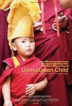 Скачать Избранный / Unmistaken Child (2008) фильм через торрент на русском