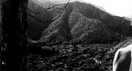 Япония (2001) через торрент бесплатно Япония (2001) фильм через торрент бесплатно