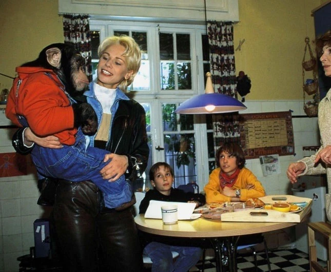 Детектив Шимпански (1997) через торрент скачать Детектив Шимпански (1997) фильм через торрент скачать