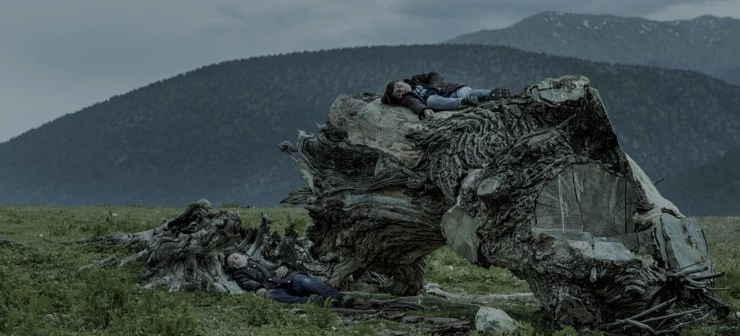 Капкан (2018) через торрент бесплатно Капкан (2018) фильм через торрент бесплатно