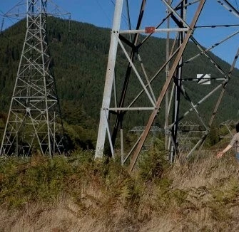 Натура (2011) через торрент бесплатно Натура (2011) фильм через торрент бесплатно