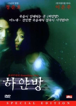 Нерождённый и всеми забытый / Hayanbang (2002) фильм скачать через торрент в хорошем качестве