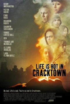 Веселая жизнь в Крэктауне / Life Is Hot in Cracktown (2008) фильм скачать через торрент в хорошем качестве