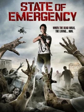 Скачать Чрезвычайное положение / State of Emergency (2011) фильм через торрент на русском