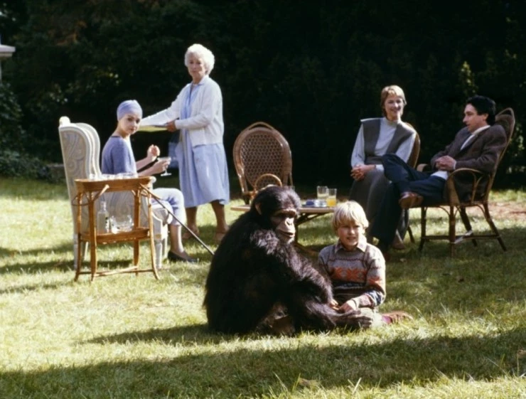 Макс, моя любовь (1986) в хорошем качестве через торрент Макс, моя любовь (1986) фильм в хорошем качестве через торрент