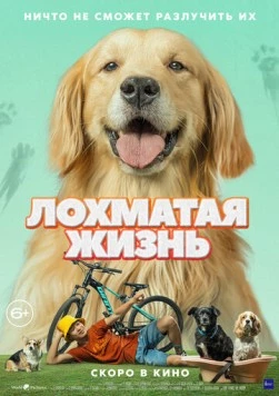 Скачать Лохматая жизнь / Алдагдсан өдрүүд (2023) фильм через торрент на русском