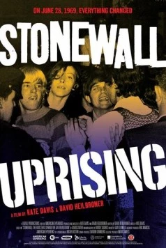 Стоунволльский бунт / Stonewall Uprising (2010) фильм скачать через торрент в хорошем качестве