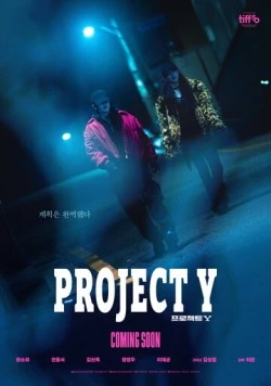 Скачать Проект Y / Project Y (2025) фильм через торрент на русском