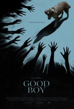 Скачать Хороший мальчик / Good Boy (2025) фильм через торрент на русском