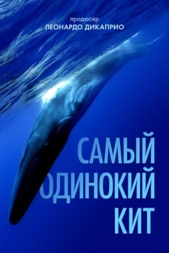 Самый одинокий кит / The Loneliest Whale: The Search for 52 (2021) фильм скачать через торрент в хорошем качестве
