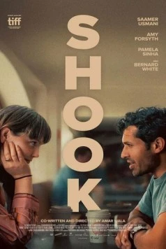 Потрясение / Shook (2024) фильм скачать через торрент в хорошем качестве