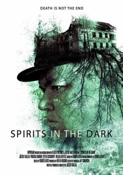 Скачать Духи во тьме / Spirits in the Dark (2020) фильм через торрент на русском